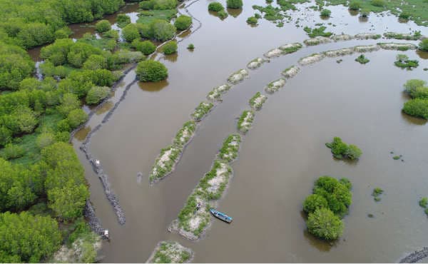 Wetland Restoration & Conservation